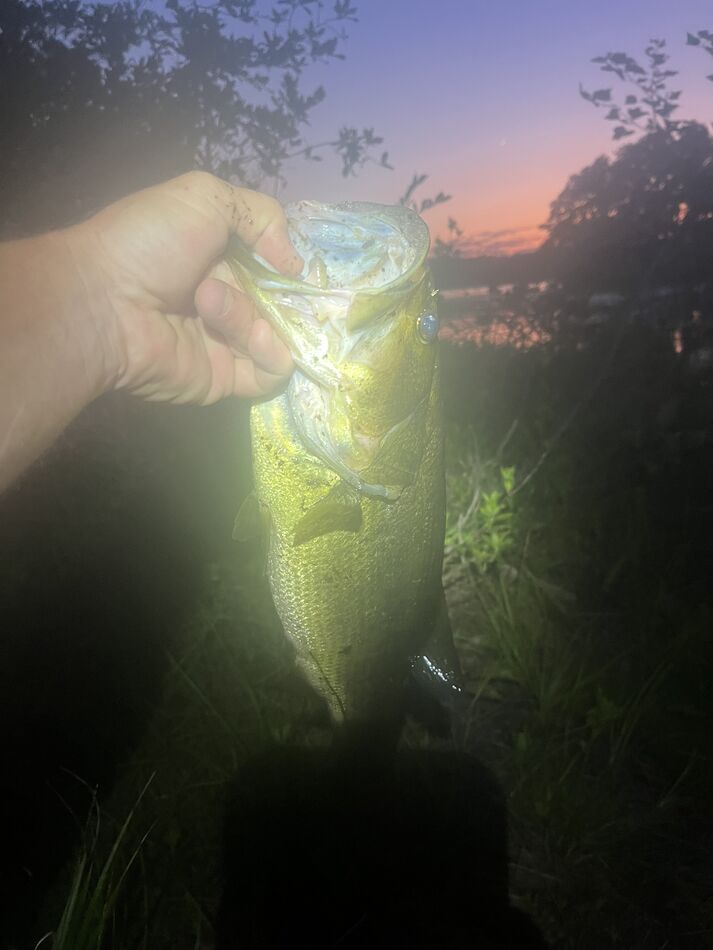 Northern LMB at sunset Decided to wade a few hours last night at my
