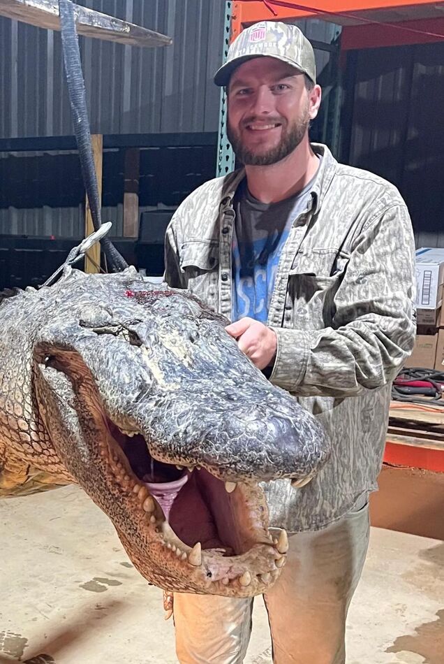 Hunter poses with harvested male gatorThe size of ...