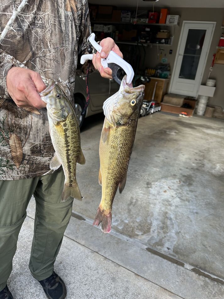 Fishing reel question Ok, an 8ft spinning rod, medium heavy, made to