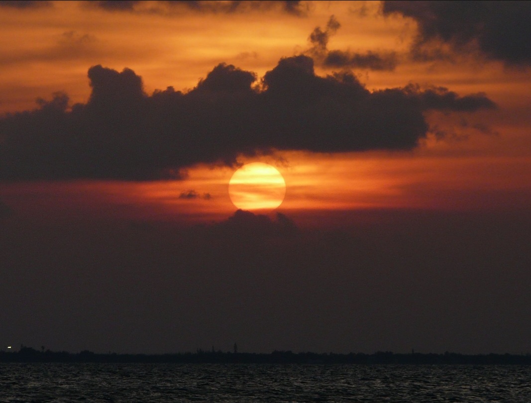 Photo ot the Day 184 Here's one I took s few years ago down in the