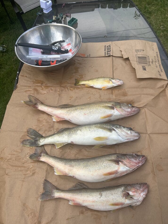 My share of our catch...