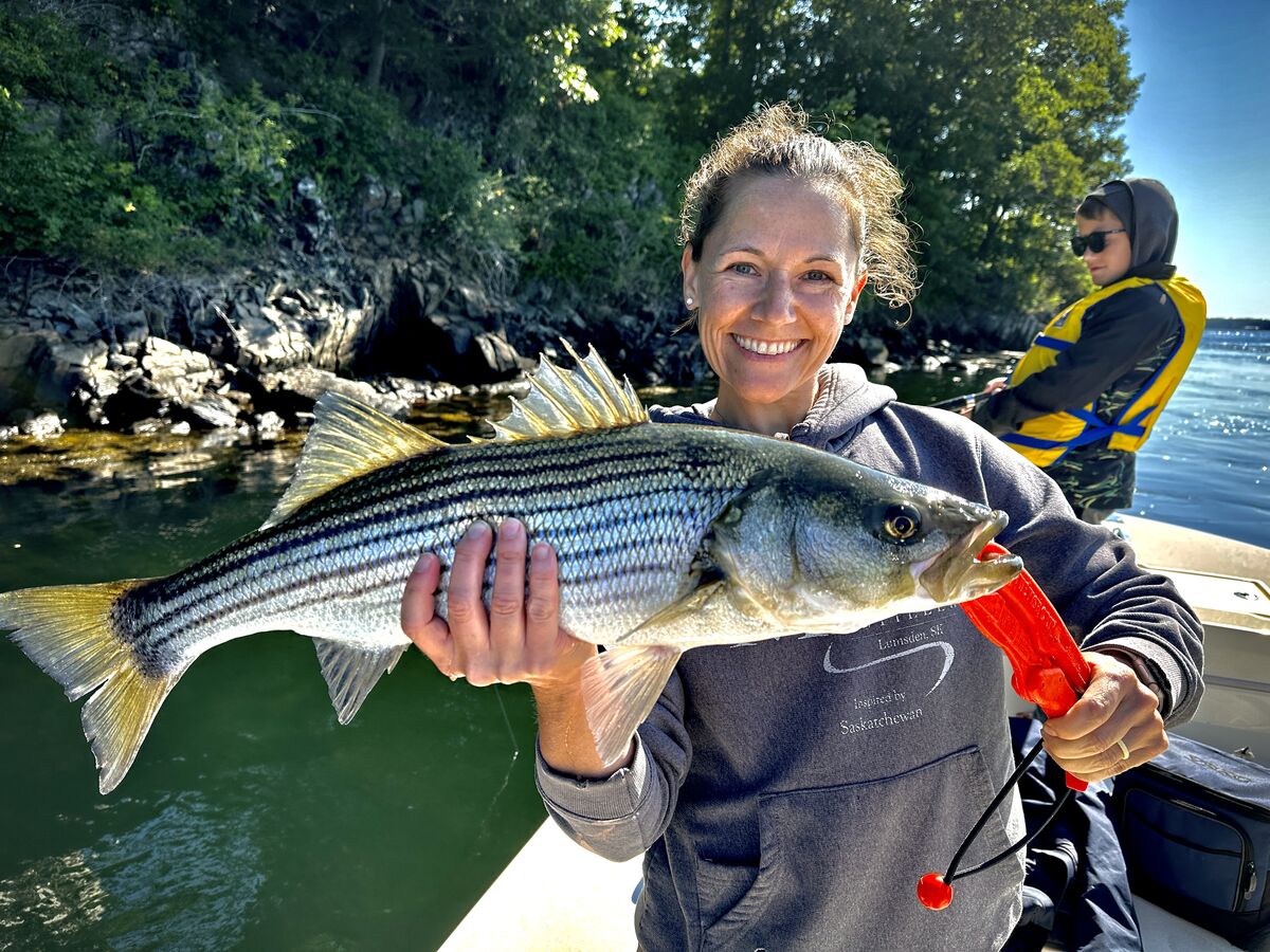 New Hampshire trip Had a great time in NH caught my 1st striper on a great trip out of Hampton