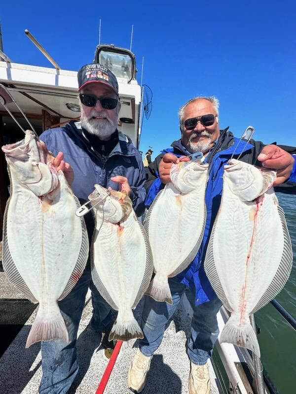 Halibut California halibut caught in San Francisco Bay on Oakland