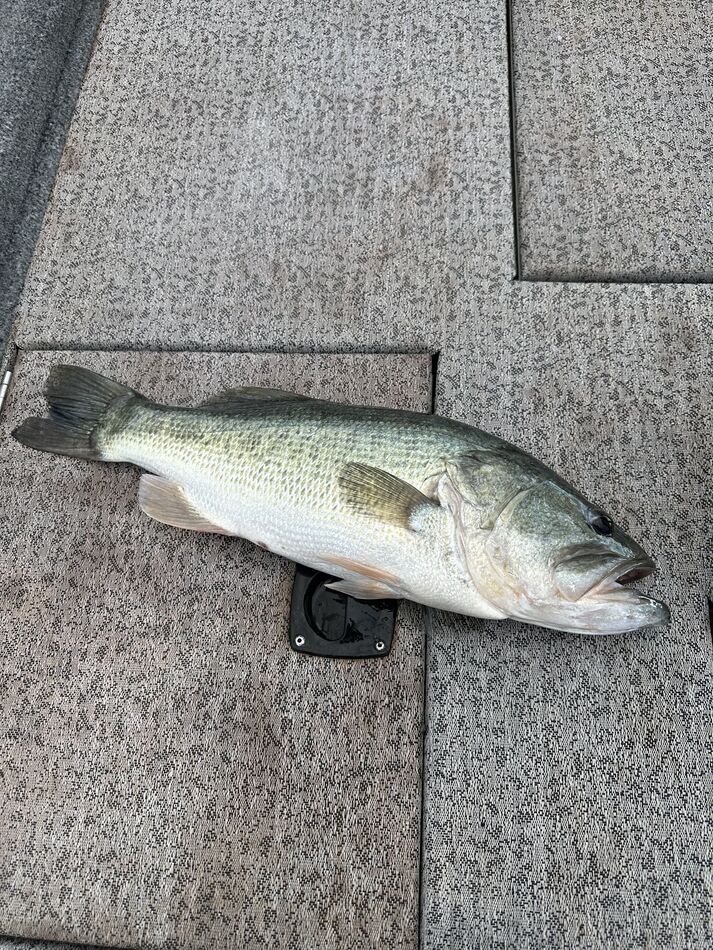 Hubbard Creek Went to Hubbard Creek Thursday and Friday. Thursday I