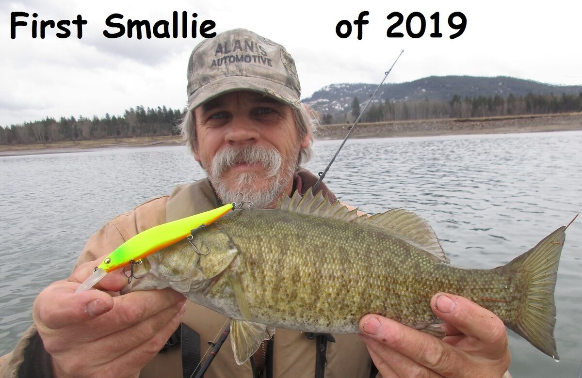 Another article This one about how to tune Jerkbaits What makes a good