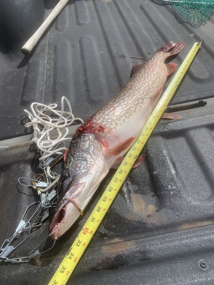Personal Best Pike from Patterson Reservoir in Dickinson, ND… 34” and