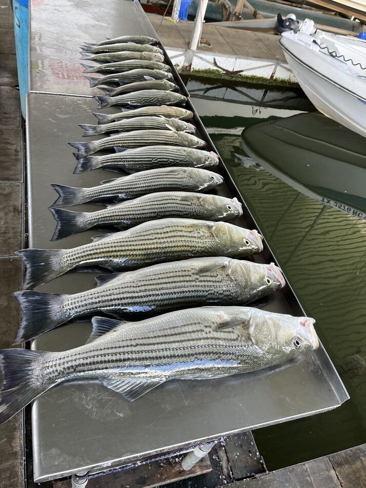 Lake Texoma Striper & Bass Good afternoon! First time posting here