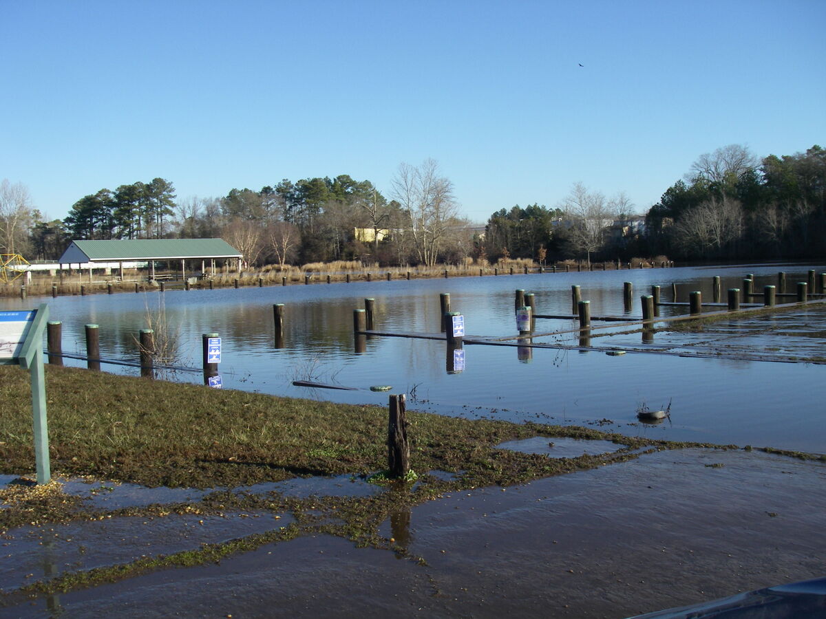 1/11/24 Flood Tide 1/11/24 The Federalsburg Marina/Park was closed