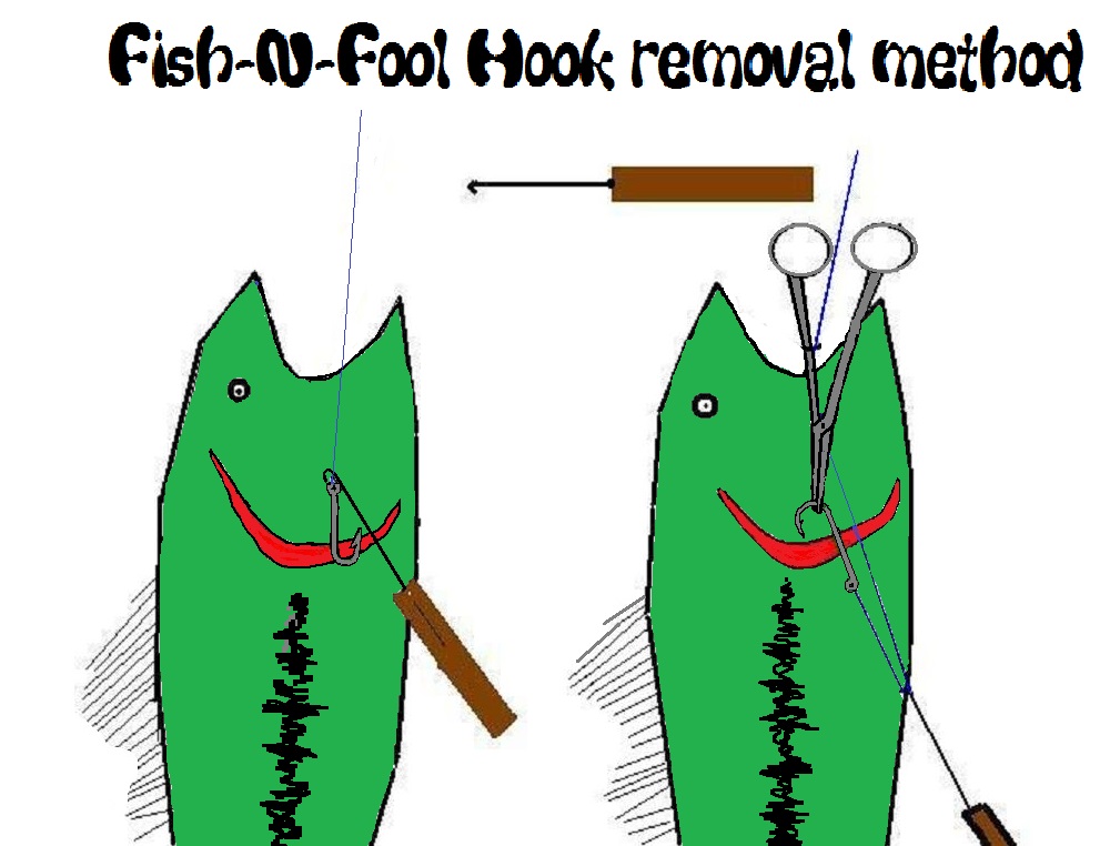 GUT HOOKED? HOW TO REMOVE HOOK WITHOUT KILLING FISH 