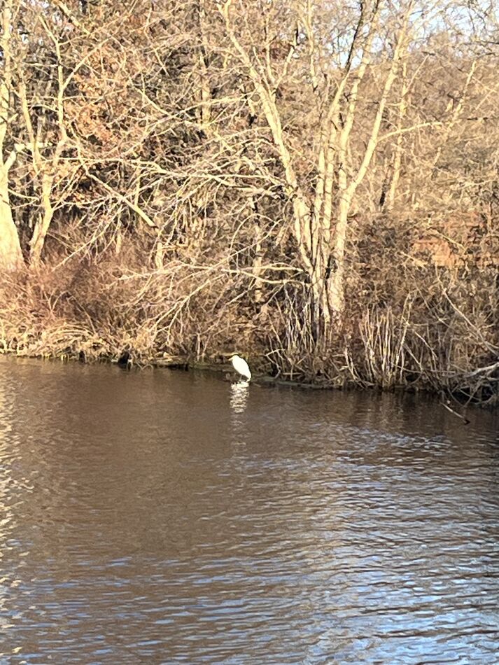 January 2, 2024 fishing 🎣: Went fishing 🎣 in 43 degrees Carnegie Lake ...