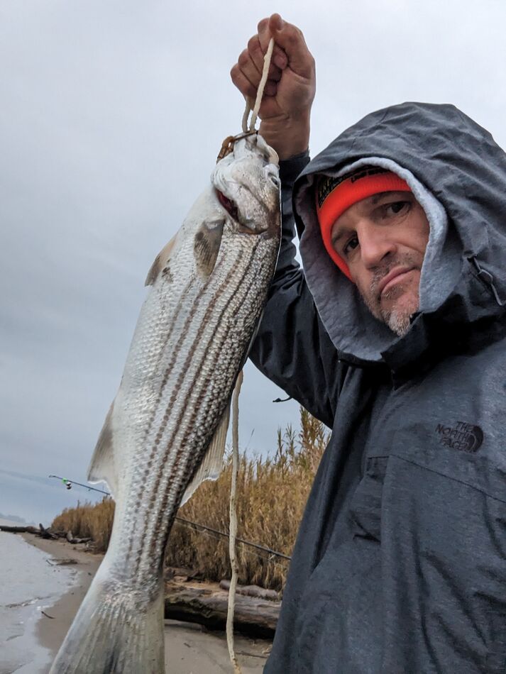 Rio Vista striper fishing tomorrow, January 23rd Hey guys, I was out