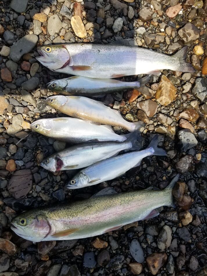 Before and After Cleaned out the freezer a couple days ago. We thawed