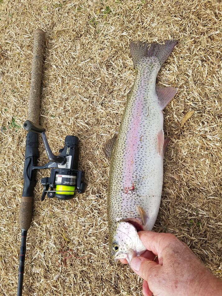 Phoenix Metropolitan Urban Fishing For those of you interested in easy