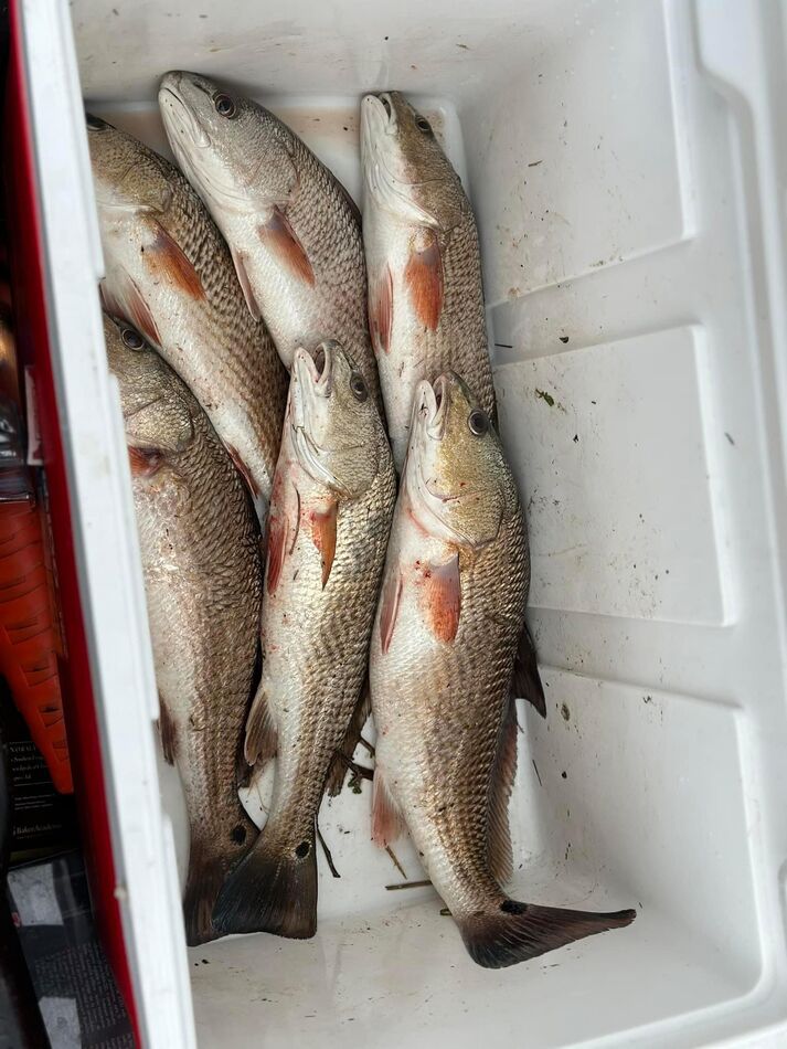 Looking for good on the bank fishing spots These were caught in