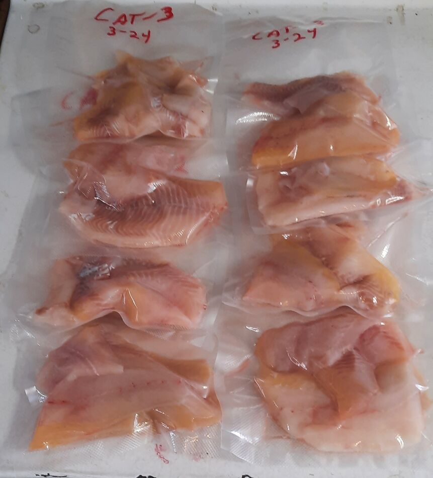 Vacuum sealed and ready for freezer. 2 or 3 to a b...