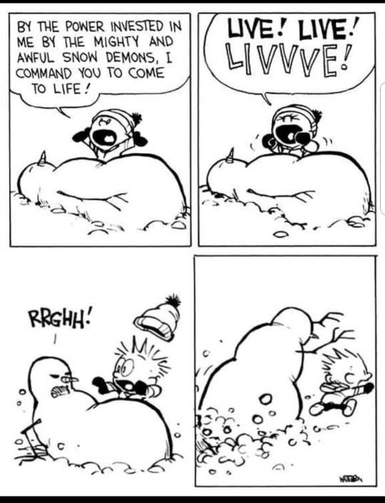 Can’t resist sharing Sunday funnies…..