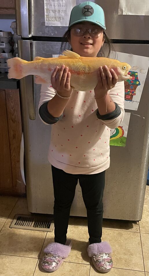 My daughters first trout and it happened to be a l...