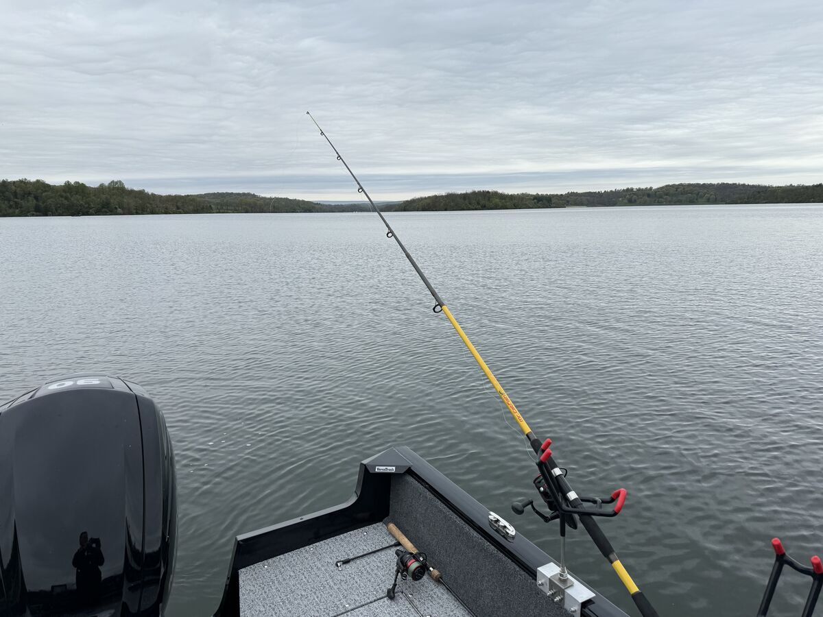 Turned into a sunfish catching morning: On the water at Blue Marsh Lake ...