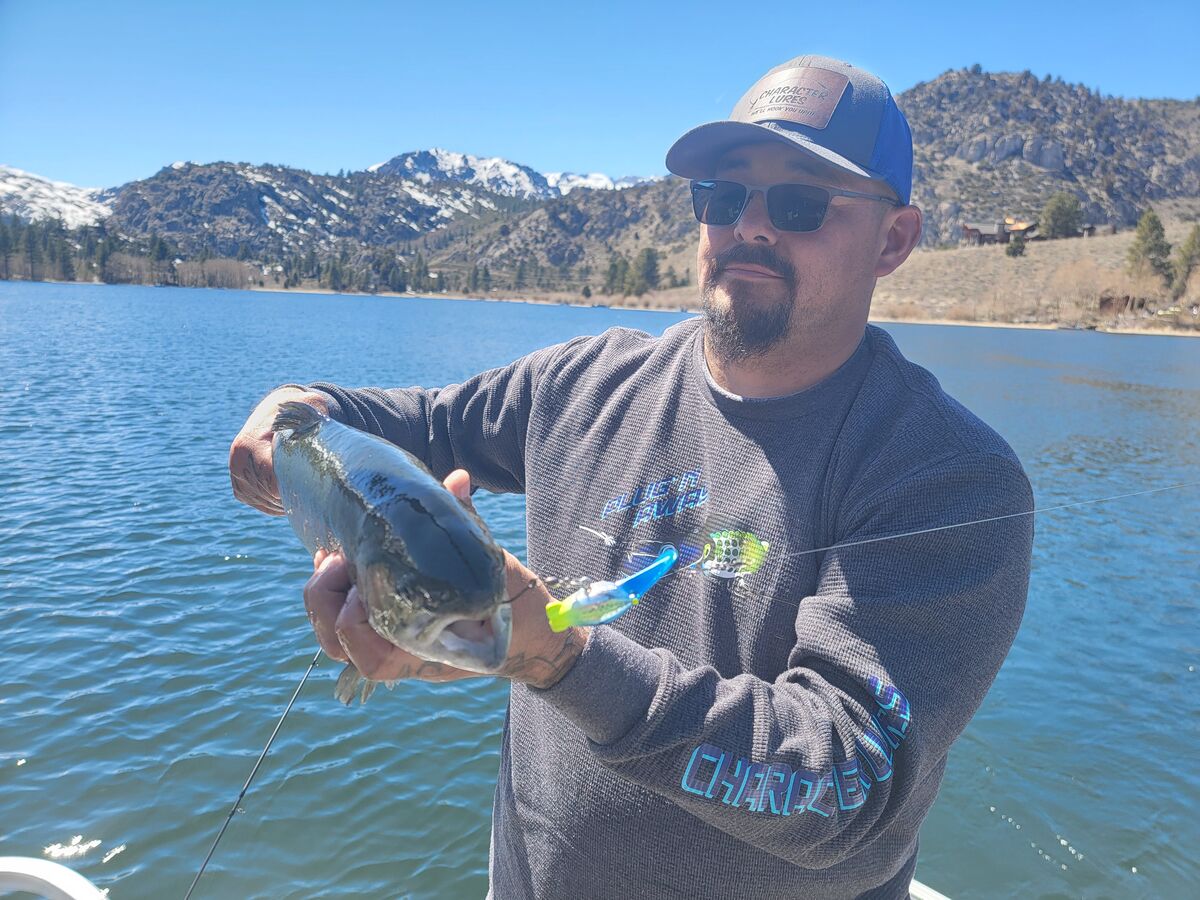 Carlos caught this beast on a Character Lures Loko...