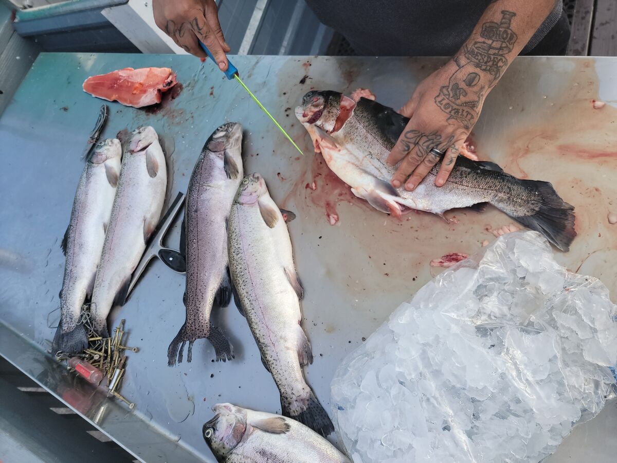 Cleaning the fish we caught for the day....