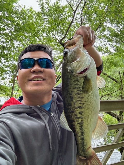 Bama bass? Spotted bass? or...? My son caught this 4.6# bass earlier ...