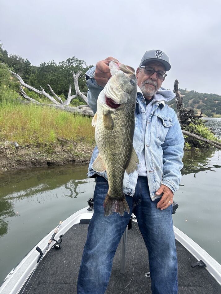 Lake Sonoma California: Fished lake Sonoma yesterday it’s been awhile ...