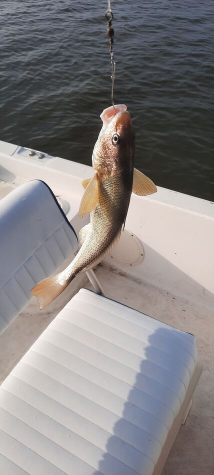 First fish...
