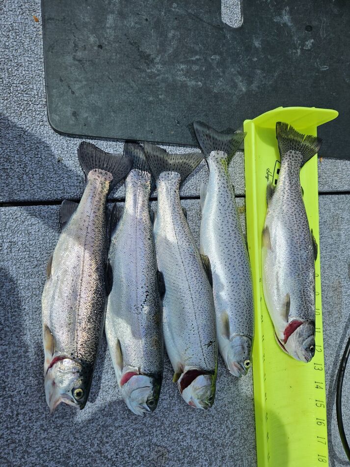 American Lake JBLM I am headed out to American lake on JBLM and