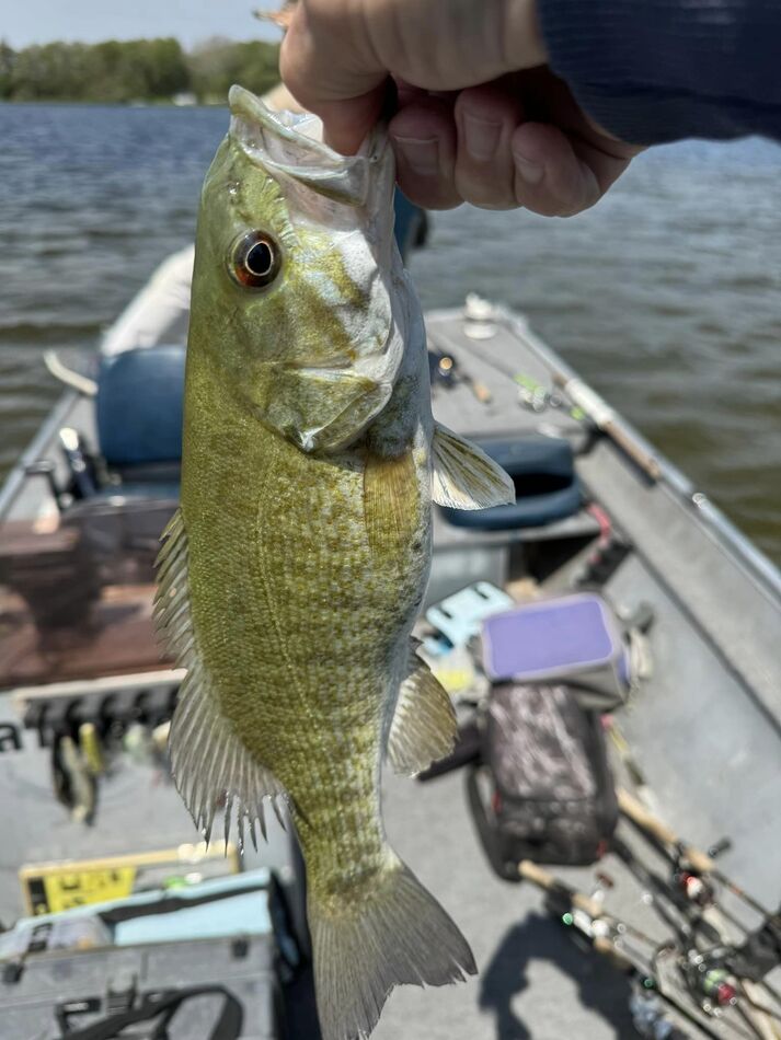 N.E. Indiana: Got out yesterday Fishing was great with over 20 bass ...