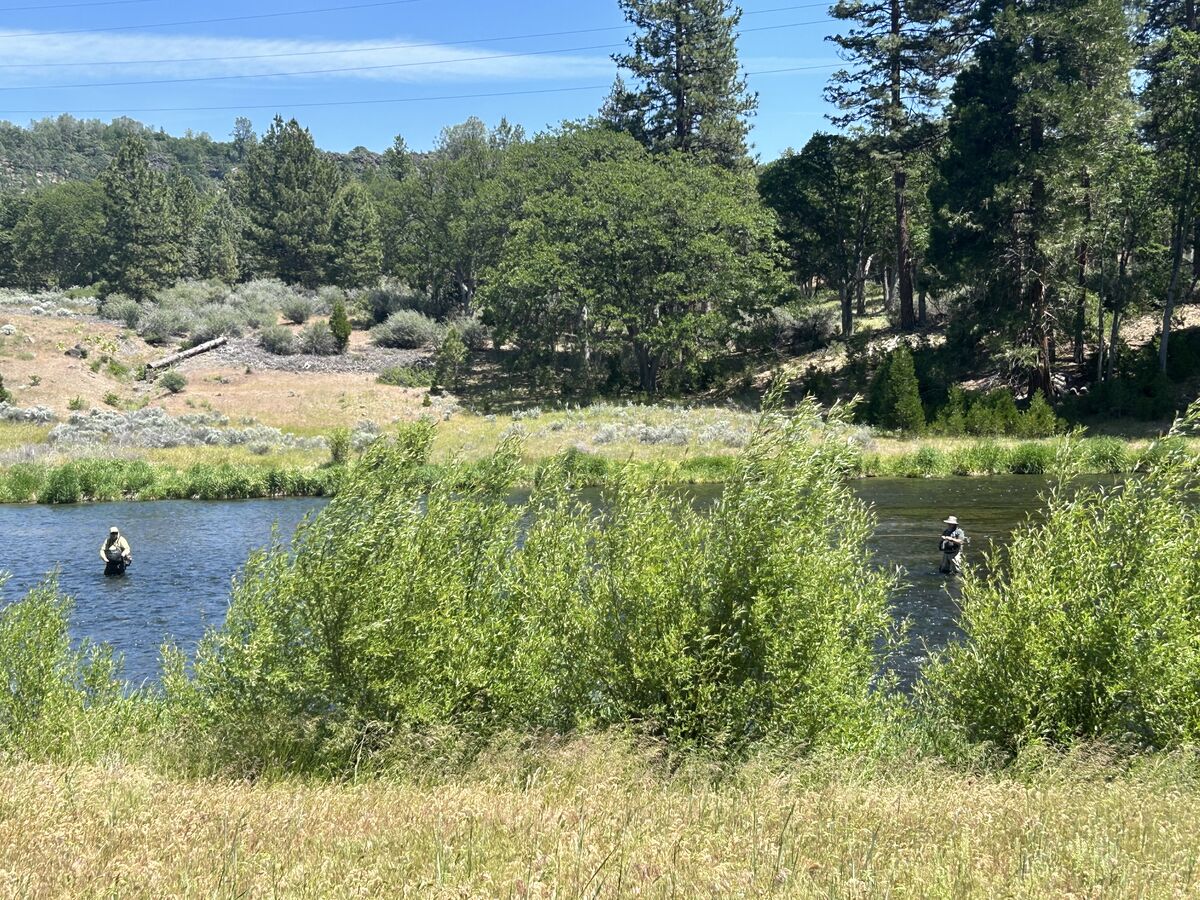 Baum lake: Actually started in Dunsmuir, checking the upper sac and it ...