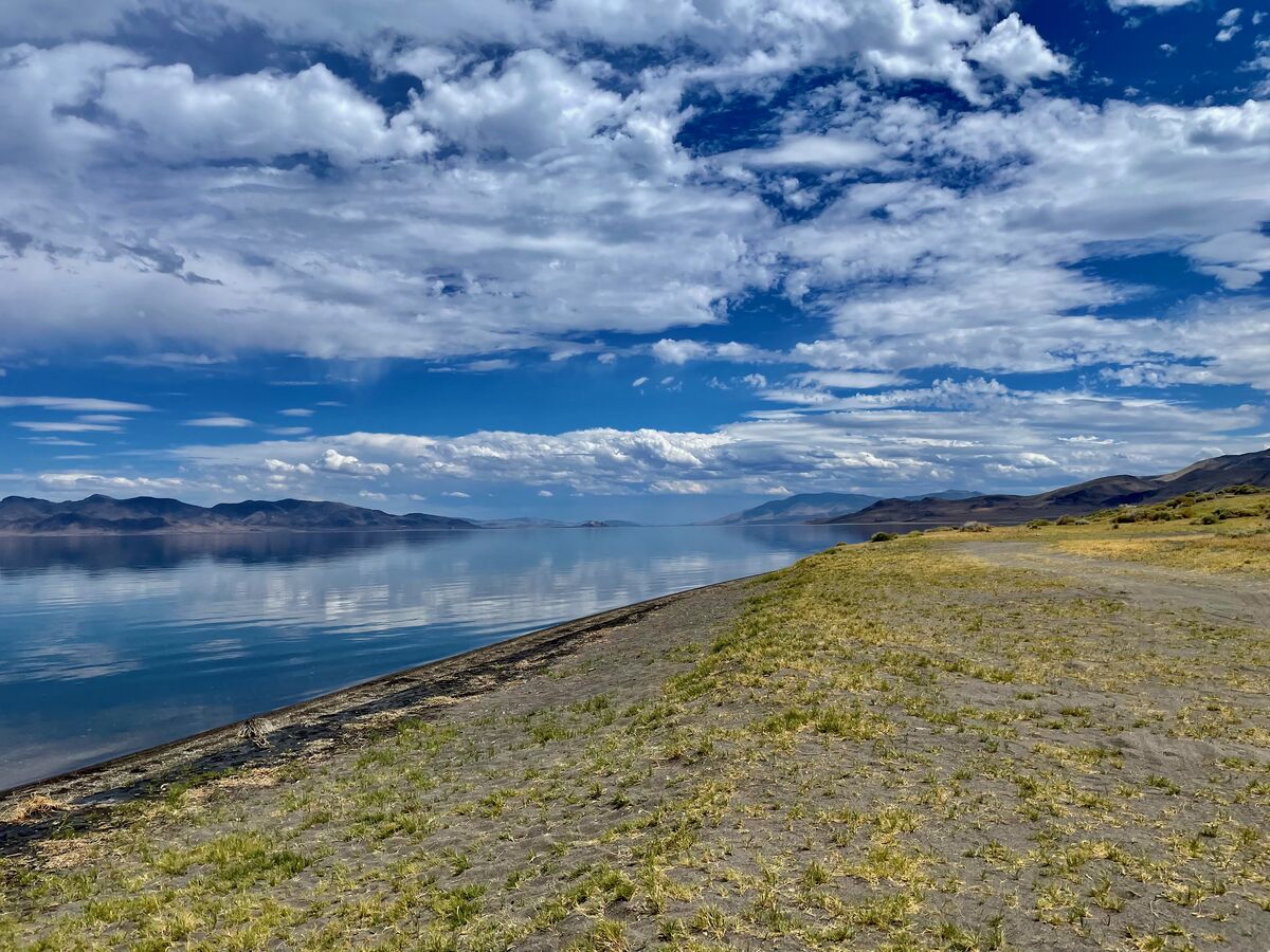 Pyramid Lake, NV June 25, 2024: Fished Pyramid today. Caught 2 ...