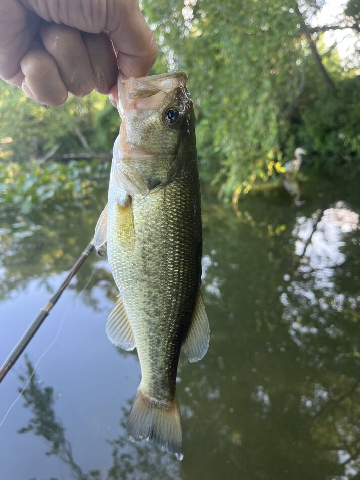 102 degrees and 90 degrees water: Went fishing 🎣 in flooded, murky, 90 ...