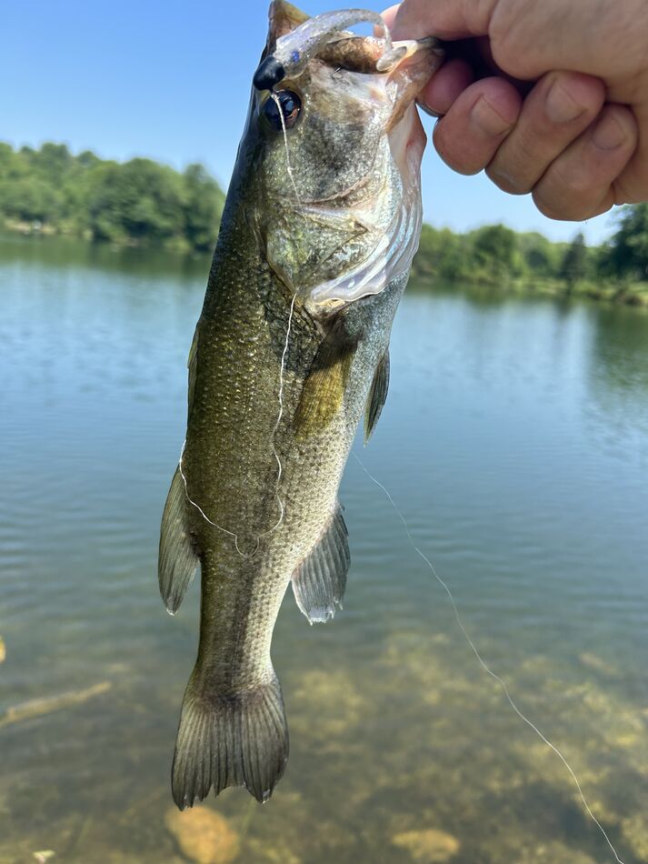 Pretty nasty hot and humid one today: Got out a bit on the local waters ...