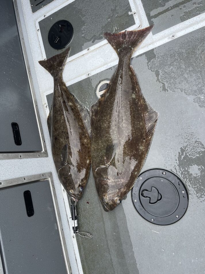 I went fishing in Alaska No flounder season this year in North Carolina. I went fishing in