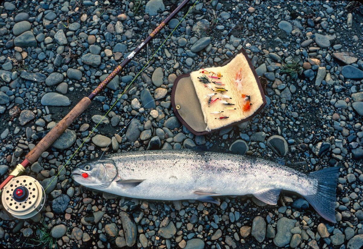 Salmon and steelhead were abundant, and they were ...