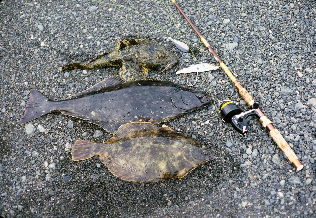 Of course bottom fishing for whatever was lurking ...