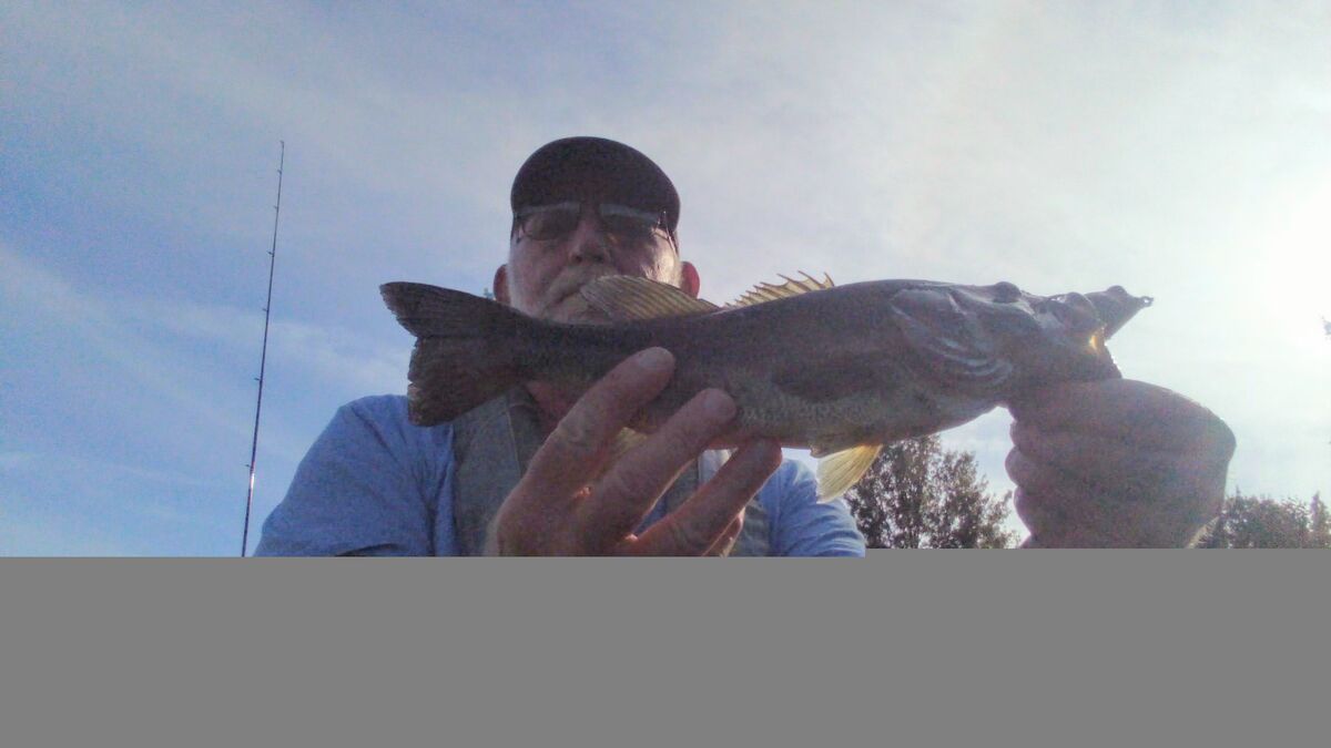 East wind frogn' 🐸 I went out late afternoon today , I was gonna mow