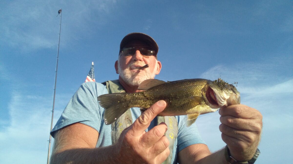 East wind frogn' 🐸 I went out late afternoon today , I was gonna mow