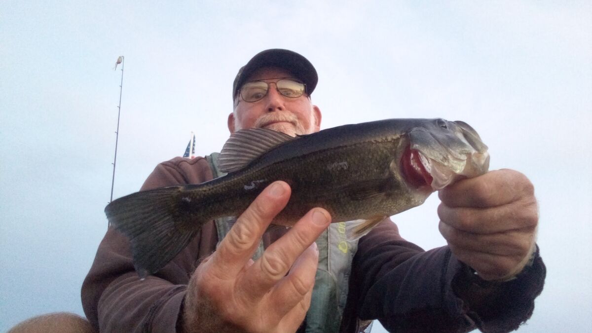 East wind frogn' 🐸 I went out late afternoon today , I was gonna mow