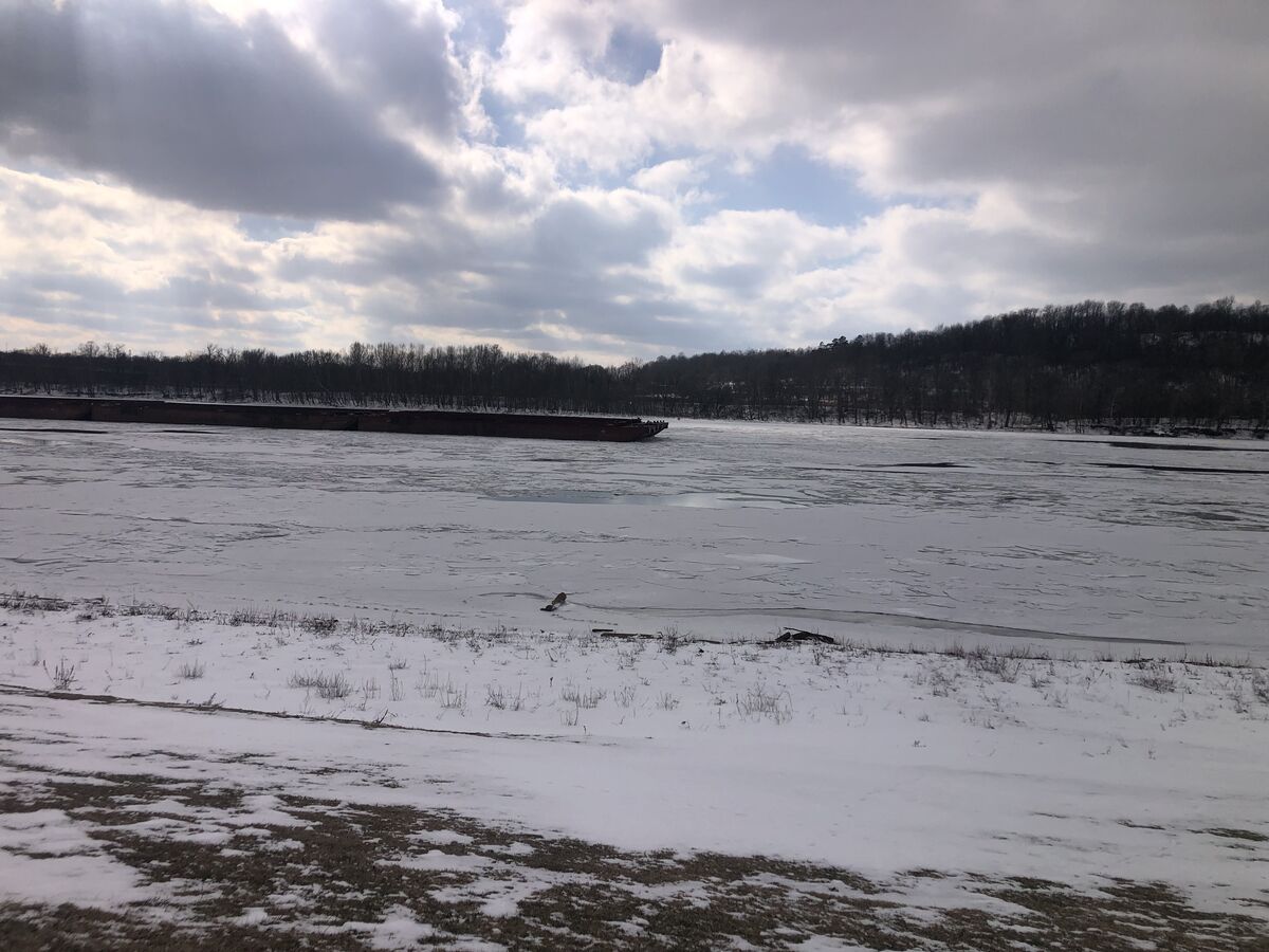 Big fat zero: My buddy and I first time out this year and a big fat 🦨 ...