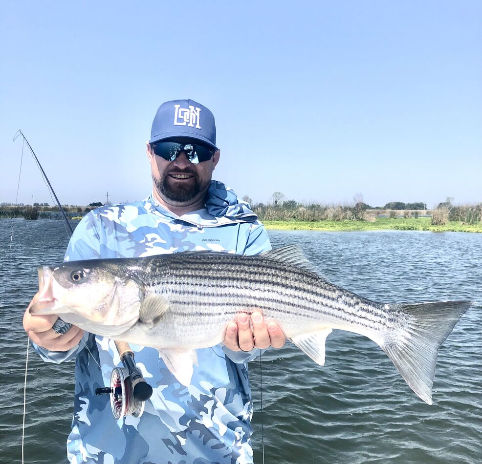 My favorite fish (Because I was with my dad): On a fly rod, slight ...