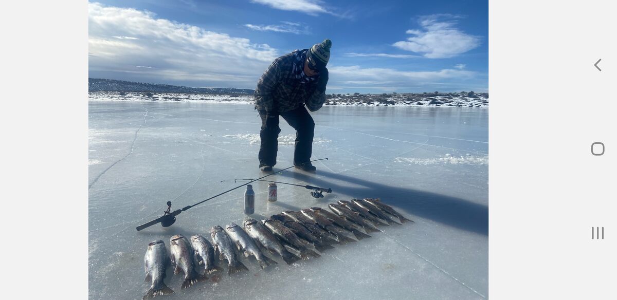 Ice fishing: chickahomney reservoir 18 to 20 inch rainbow trout, 3 of us...