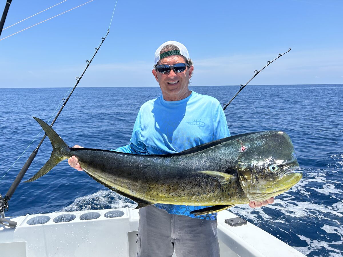 Nice Mahi: Costa Rica Mahi...