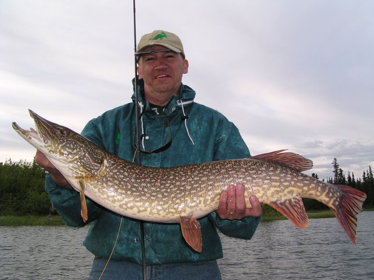 Catches from NY to Florida to Alaska & the Yukon: I moved to NC in 2020 ...