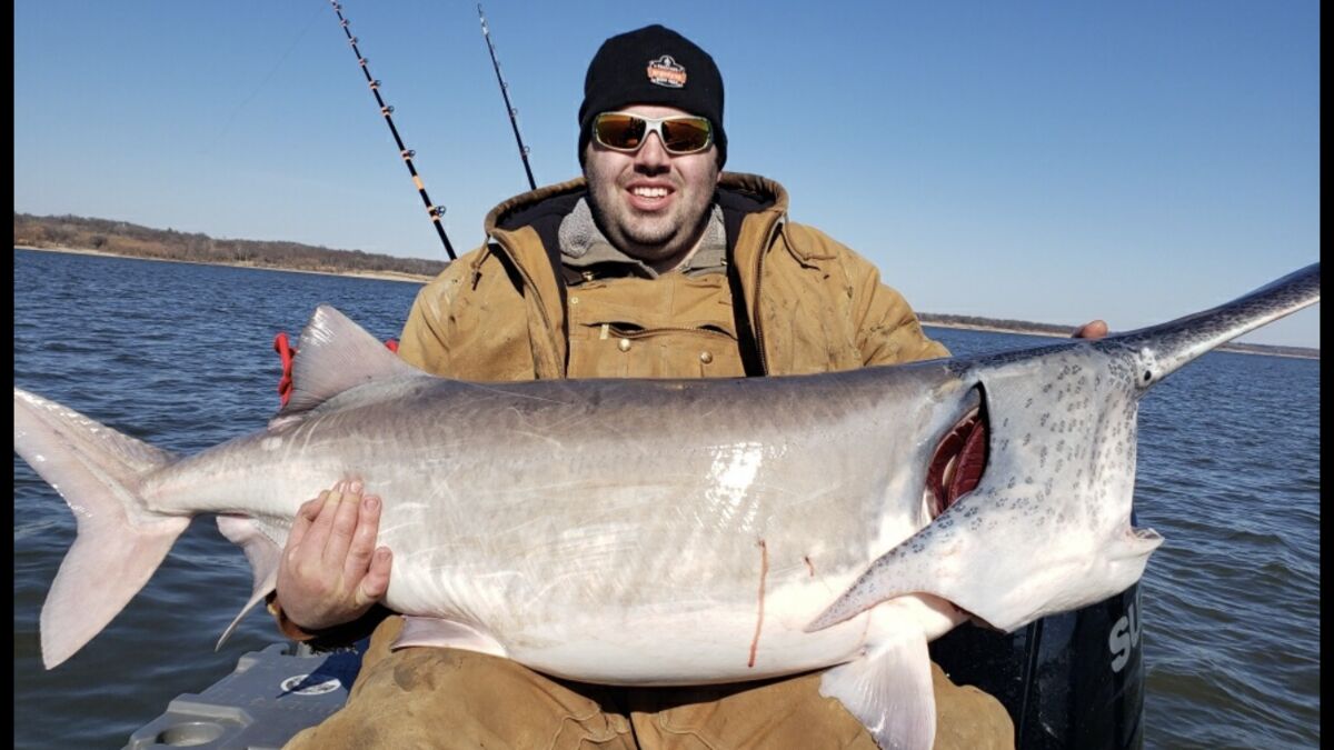 Spoonbill: First time fishing for spoonbill in Missouri. Son and I did ...