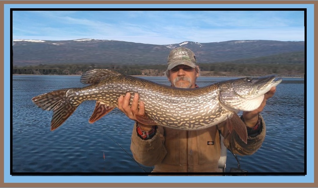 In Pursuit of Trophy Pike: Pike, especially really big trophy Northern ...