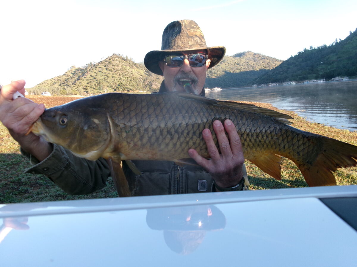 Couple More Carp: Always enjoy being out there when the sun comes up ...