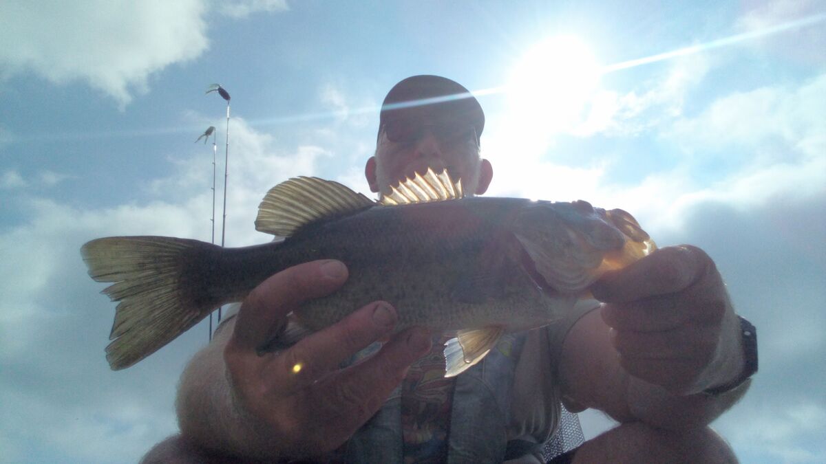 Sortum Frog Temu frog, light rod, and old reel Frogn' 🐸 Sun: What a gorgeous day to ...